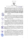 Vista preliminar de documento RES-167-2021-GRI