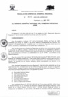 Vista preliminar de documento RESOLUCION GERENCIAL GENERAL REGIONAL 219.PDF
