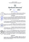 Vista preliminar de documento RD Nº0391-2021.pdf