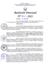 Vista preliminar de documento RD Nº0397-2021.pdf