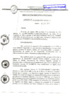 Vista preliminar de documento Res_Eje_Reg_N011_12ene_2010