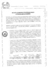 Vista preliminar de documento Acta nro. 06-2013 de la comisión de recursos naturales, defensa nacional y defensa civil