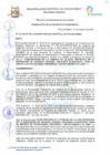 Vista preliminar de documento Resolución de Alcaldía Nº 073-2020-MDP/A