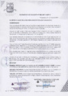 Vista preliminar de documento Resolución de Alcaldía Nº 005-2019-MDP/A