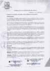Vista preliminar de documento Resolución de Alcaldía Nº 006-2019-MDP/A