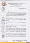 Vista preliminar de documento Resolución de Alcaldía Nº 028-2018-MDP/A