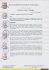 Vista preliminar de documento Resolución de Alcaldía Nº 159-2017-MDP/A