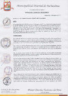 Vista preliminar de documento Resolución de Alcaldía Nº 155-2017-MDP/A