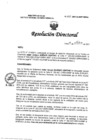 Vista preliminar de documento RD N° 223-2021-DG-INMP/MINSA