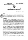 Vista preliminar de documento RD N° 219-2021-DG-INMP/MINSA