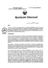 Vista preliminar de documento RD N° 213-2021-DG-INMP/MINSA