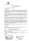Vista preliminar de documento RA 371 29.12.2020.pdf