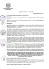 Vista preliminar de documento Ordenanza-Municipal-N-001-2021-MDP