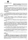 Vista preliminar de documento Resolución de Gerencia