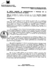 Vista preliminar de documento Resolución de Gerencia