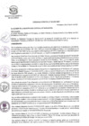 Vista preliminar de documento Ordenanza-Municipal-N-003-2021-MDP
