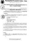 Vista preliminar de documento Resolución Gerencial