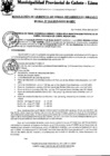 Vista preliminar de documento Resolución Gerencial