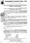 Vista preliminar de documento Resolución Gerencial
