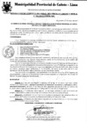 Vista preliminar de documento Resolución Gerencial