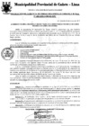 Vista preliminar de documento Resolución Gerencial
