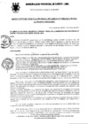 Vista preliminar de documento Resolución Gerencial