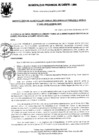 Vista preliminar de documento Resolución Gerencial