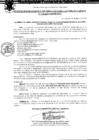 Vista preliminar de documento Resolución Gerencial