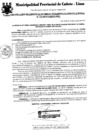 Vista preliminar de documento Resolución Gerencial