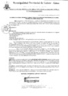 Vista preliminar de documento Resolución Gerencial