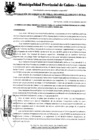 Vista preliminar de documento Resolución Gerencial