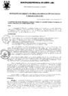 Vista preliminar de documento Resolución Gerencial