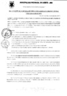 Vista preliminar de documento Resolución Gerencial