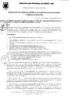 Vista preliminar de documento Resolución Gerencial