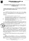 Vista preliminar de documento Resolución Gerencial