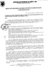 Vista preliminar de documento Resolución Gerencial