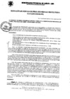Vista preliminar de documento Resolución Gerencial