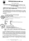 Vista preliminar de documento Resolución Gerencial