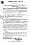 Vista preliminar de documento Resolución Gerencial