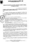 Vista preliminar de documento Resolución Gerencial