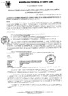 Vista preliminar de documento Resolución Gerencial