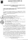 Vista preliminar de documento Resolución Gerencial