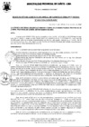 Vista preliminar de documento Resolución Gerencial