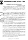 Vista preliminar de documento Resolución Gerencial