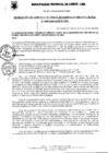 Vista preliminar de documento Resolución Gerencial