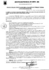 Vista preliminar de documento Resolución Gerencial