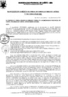Vista preliminar de documento Resolución Gerencial