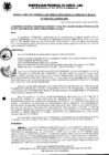 Vista preliminar de documento Resolución Gerencial