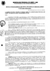 Vista preliminar de documento Resolución Gerencial