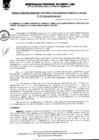 Vista preliminar de documento Resolución Gerencial